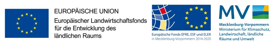 EU-Projekt