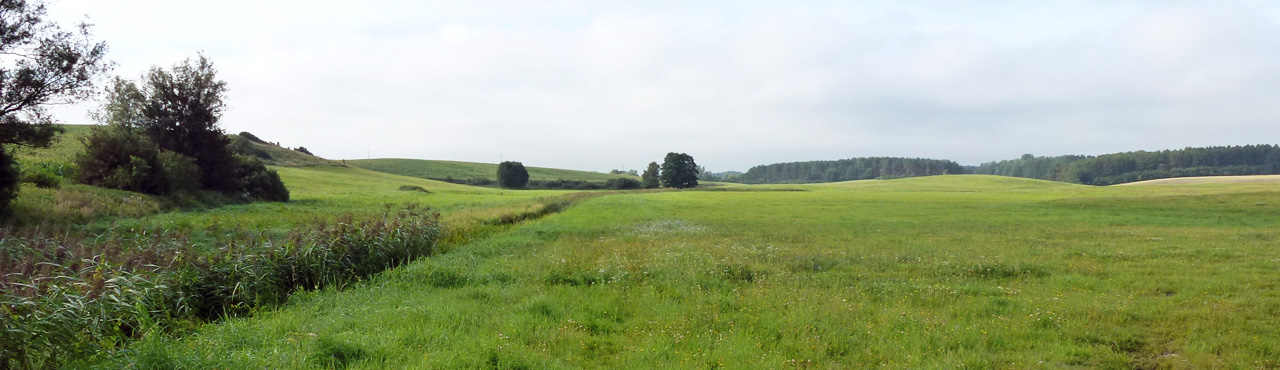 Blick vom Radweg Blankensee-Warbende